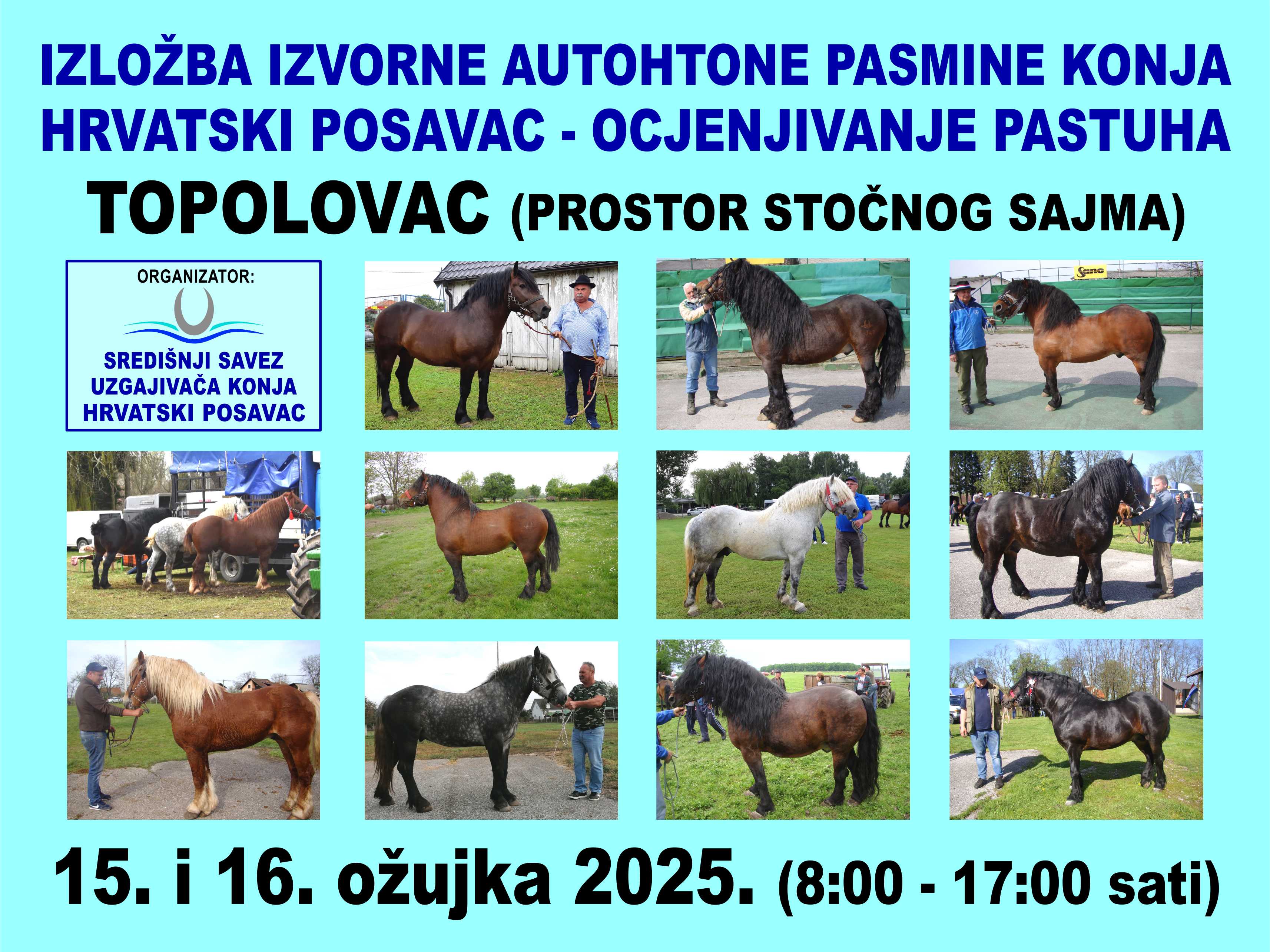 IZLOŽBA IZVORNE AUTOHTONE PASMINE KONJA HRVATSKI POSAVAC- OCJENJIVANJE PASTUHA