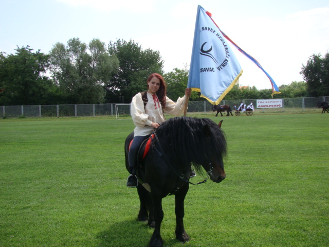 10. Državna i 15 Županijska izložba izvornih i zaštićenih pasmina konja