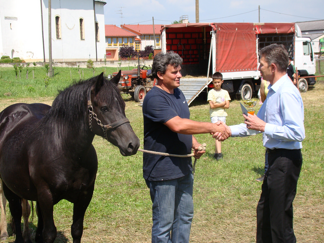 Održana 9. Središnja izložba posavskog konja, 09.06.2013.