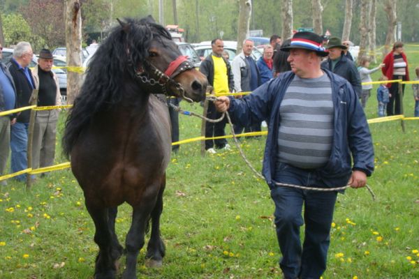 uzgojna-izlozba-k-u-vranac-bobovica-15-04-2012-i4E8C23ED-254D-A2ED-3AF2-4909D5F12263.jpg