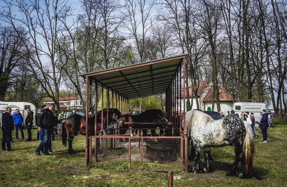  I. i II. ODABIR PASTUHA HRVATSKOG POSAVCA